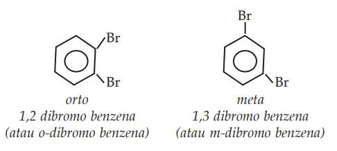 contoh tata nama senyawa turunan benzena